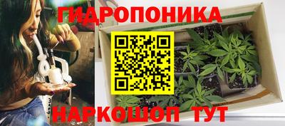 дживик Берёзовский