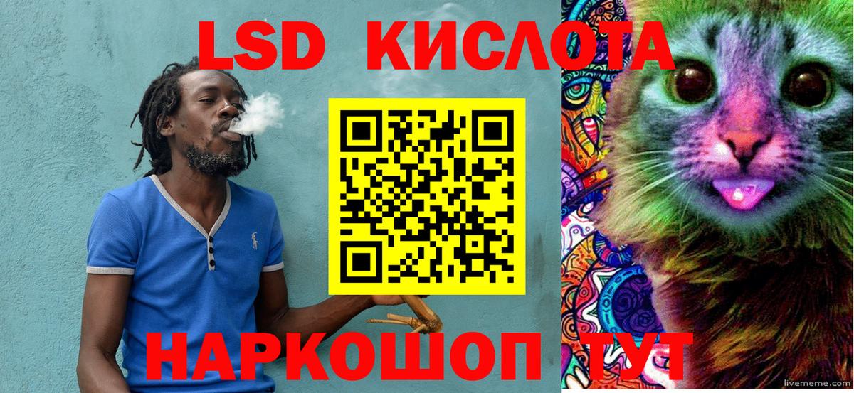 Галлюциногенные грибы Копейск