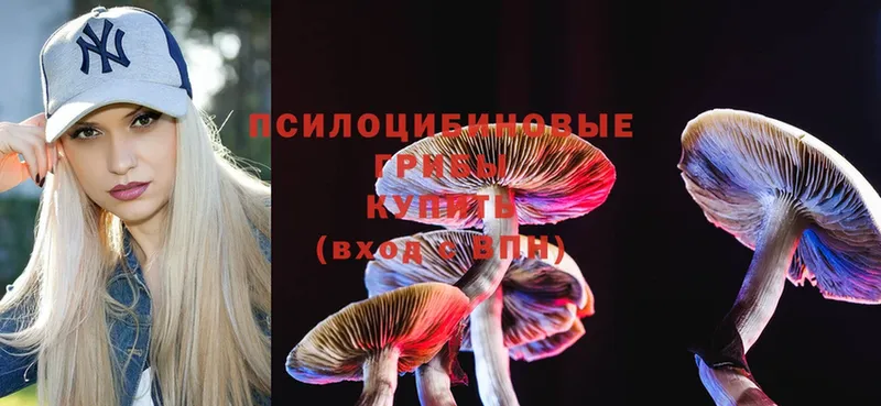 Галлюциногенные грибы MAGIC MUSHROOMS  Копейск 