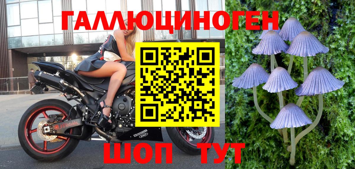 Псилоцибиновые грибы Magic Shrooms  Вход с VPN  Копейск 