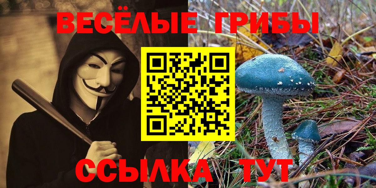 Галлюциногенные грибы прущие грибы Копейск